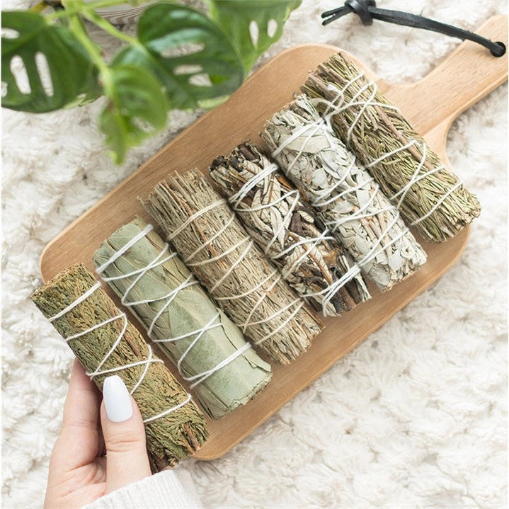 Set 6 Mazzi di Salvia