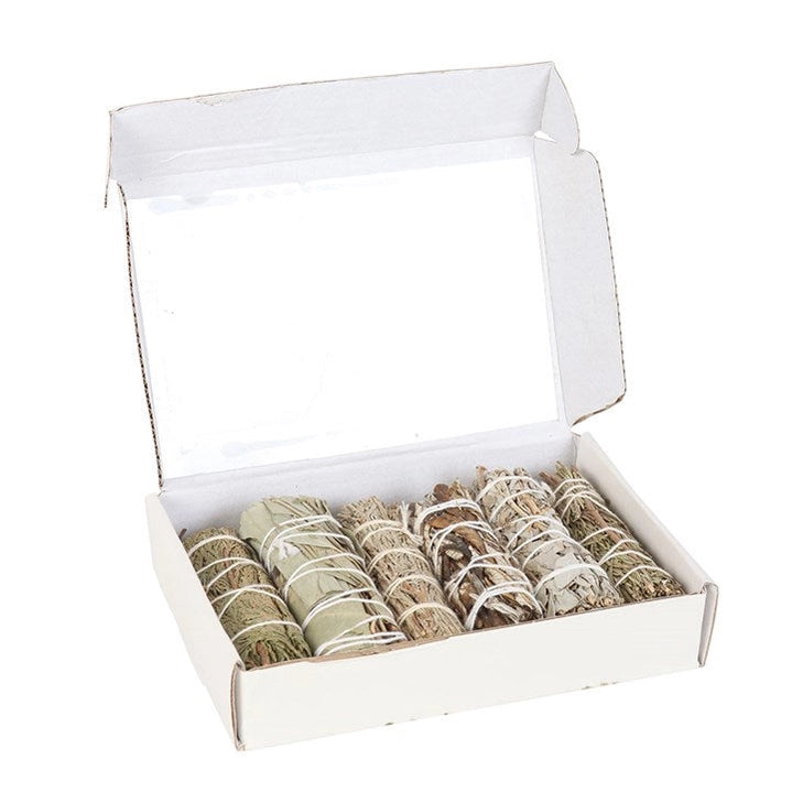 Set 6 Mazzi di Salvia