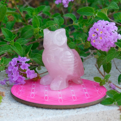 Disco Armonizzante Fiore della Vita Rosa